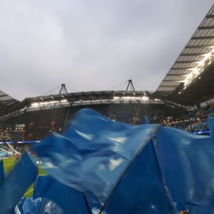 Pedro14564887's profile picture. 