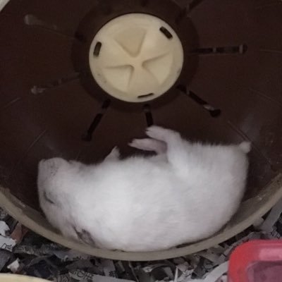 #今日も金ない
