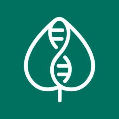 Tobacco; Molecular Farming; CRISPR; New Plant Breeding Techniques. We receive funding from @EU_H2020 Res&Innov Pgrm; tweets reflect only views of project owner