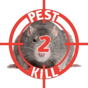 Operating in London & Essex, family run Pest Control Company, great rates, 24 hour call out, mice, rats, bedbugs Call us Now 
020 7205 2229 info@pest2kill.co.uk