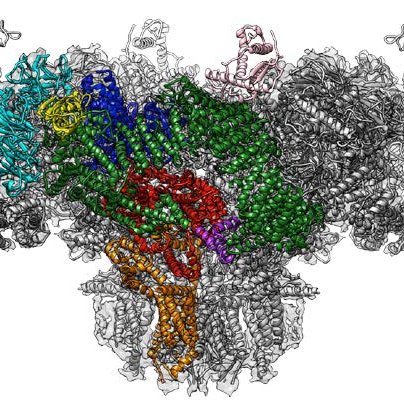 Trying to understand protein function using cryo-EM! Run, read  and climb in between