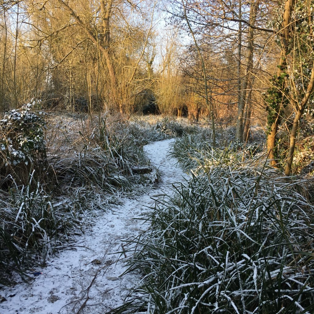 Recovering nature across Benson, Ewelme and Berrick Salome. Working positively with developers and our communities to get the best for people and nature.