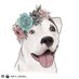 Best Bullies NY (@bestbulliesny) Twitter profile photo Best Bullies NY (@bestbulliesny) Twitter profile photo