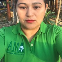 Liane Ake (@lianeake) 's Twitter Profile