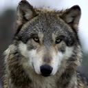 olivia way - @oliviaway - Twitter