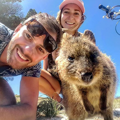 We are Dan & Bailey, your typical thrill-seeking backpackers...and bloggers! We have traveled to more than 40 countries and have a ton of stories to share!