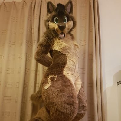 28, she/her, 💍 @FiosFlur wifu. Information Security Manager 💻, I love music and create my own songs. No under 18s! 🔞 SFW/NSFW acc. Fursuit by @MadeByMercury