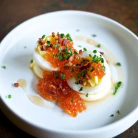 CanardPDX (@canard_pdx) 's Twitter Profile