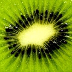 jadewalsh881's profile picture. 