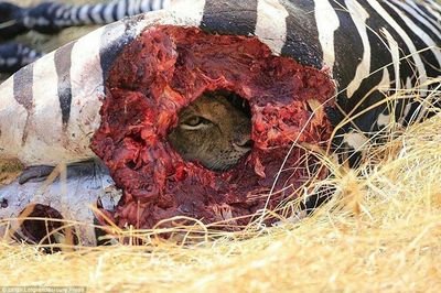 Cryptosz1's profile picture. 