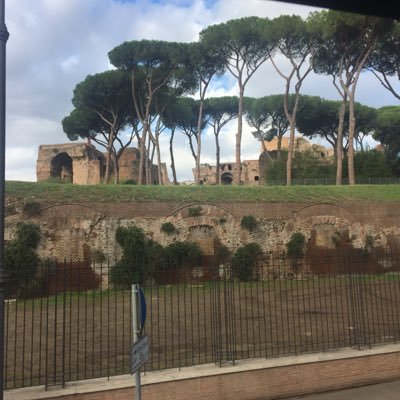 musllam71's profile picture. 