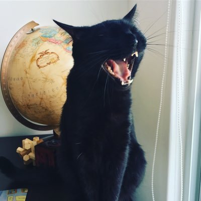 cafecin_'s profile picture. She hides true love en su bolsillo.