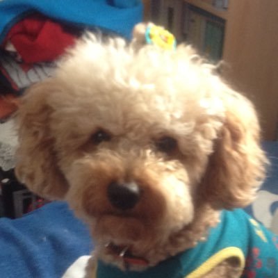 uOZ6JzosM6I37Oh's profile picture. 麻呂との日常