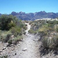 HISTORY:nevada (@historynevada) 's Twitter Profile Photo