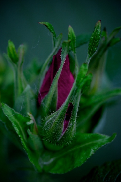 ange442000's profile picture. Coordonnatrice de groupes en agence de voyage. Passionnée des voyages, des cultures, des gens et de l'art.