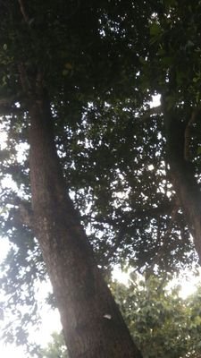 gJRoFaYhDkkrUeU's profile picture. Politik & Pemerintahan Politik & Pemerintahan