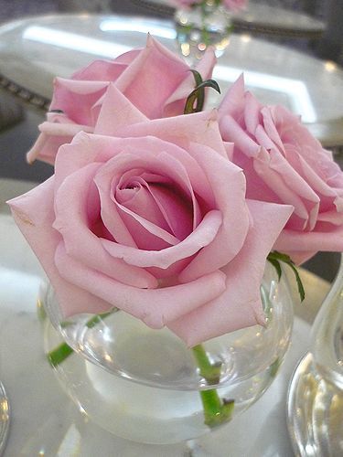 daikanyamamaria's profile picture. ART　映画　光　祈り　風　

微笑みと　幸福な食卓