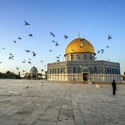 MalaakHajah's profile picture. ‏‏‏{إسعَ أن تعيش بطريقة تجعل الله يحبك}