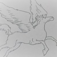 Rigel (@rigel_equus) Twitter profile photo