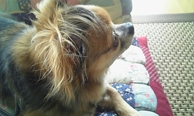 _alexandrite_'s profile picture. 息子がﾊﾏっているﾐﾆ四駆の見習い隊員🏎️ Nｹﾞｰｼﾞ(KATOへ時々出没)🚝撮り鉄・乗り鉄🚞📸してます
魔法使いの嫁・夏目友人帳・3月のﾗｲｵﾝ・天官賜福・薬屋のひとりごと・葬送のﾌﾘｰﾚﾝ・黒執事・ﾋﾟｱﾉの森・ﾘｽﾄﾗﾝﾃ ﾊﾟﾗﾃﾞｨｰｿﾞ・ｳﾞｧﾆﾀｽの手記・雨と君と・ﾜﾝﾀﾞﾝｽなどが好き😹