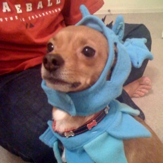 heathermacre's profile picture. Lawyer. Elected Official. Angry Liberal Feminist Killjoy. Tired mum.