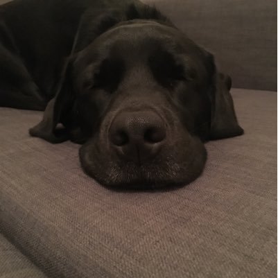 joshygjoshyg's profile picture. 