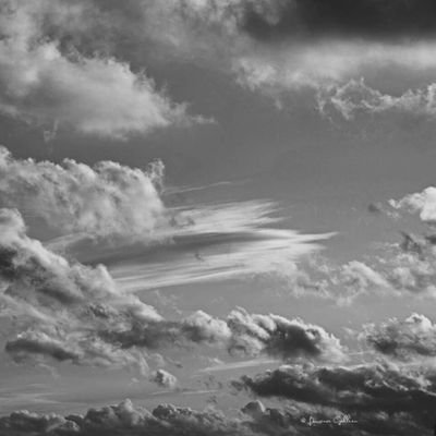 CcileNury2's profile picture. #ess #numeriqueinclusif #digital