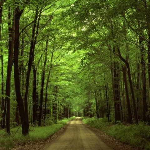 malneunzig's profile picture. 