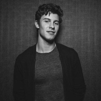 Shawn mendes support page. āwhat if i told you a story?ā