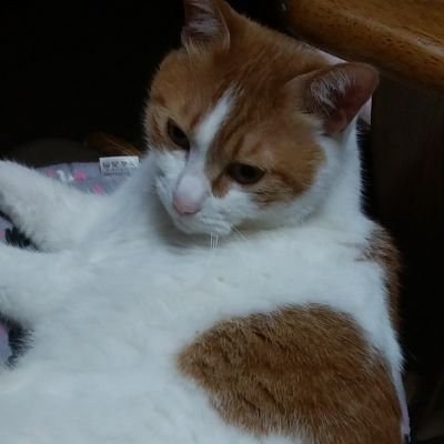 4Le0pX3AL27xYHH's profile picture. 今何してる⁉️