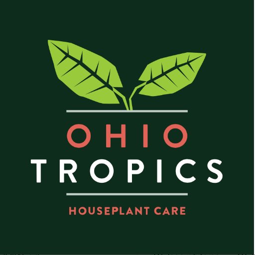 Do you want to learn how to better care for your houseplants? Also follow me on Instagram @ohiotropics!