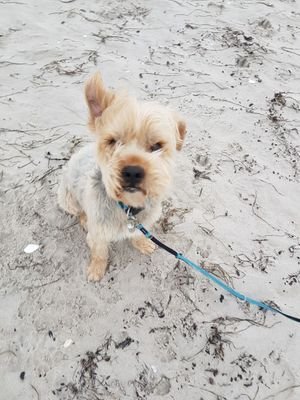 f_steinbeck's profile picture. Freedom!Fun!andHappiness!