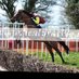 Suirview Stables (@suirviewstables) Twitter profile photo Suirview Stables (@suirviewstables) Twitter profile photo