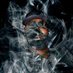 bishOp_868 (@inque_) Twitter profile photo bishOp_868 (@inque_) Twitter profile photo