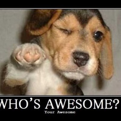 DarrellPaquett1's profile picture. Proud Canadian and dad of two. Saving the world one day at a time. Canadian Politics NFL Football Canadian Politicians US Politics Edmonton Oilers Alberta News