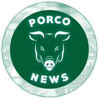 Porco News(@Porconews_) 's Twitter Profile Photo