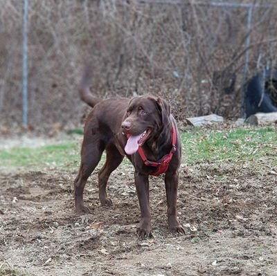 Amyjone57092786's profile picture. 