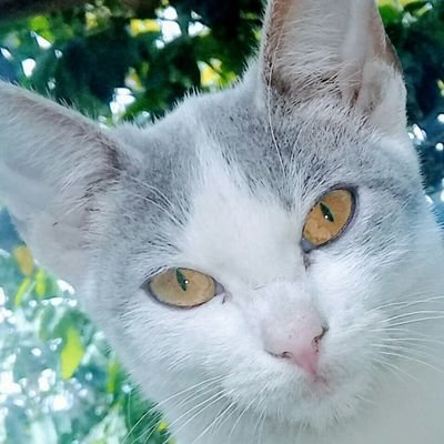 albertt2_'s profile picture. :)