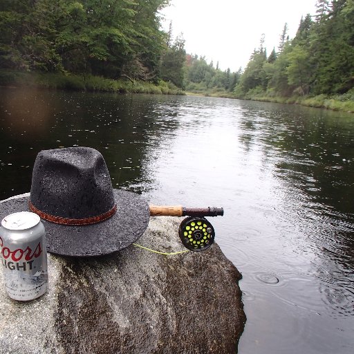 Allen is a Science Director at the Canadian Rivers Institute, and Professor of Biology, Forestry and Environmental Management at UNB F.  He leads the MAES.