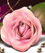 AEscortServices's profile picture. Receiving 100s of thousands of page views every month Australian Escort Services offers a classy alternative for promotion to quality viewers