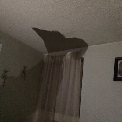 PabloDoguez's profile picture. Du kannst die Veränderung sein! 💪🏻.      🇦🇷🇪🇺🇬🇷🇮🇸🇮🇱🇮🇹🇳🇴🇵🇪🇬🇧🇨🇭🇫🇮🇲🇽