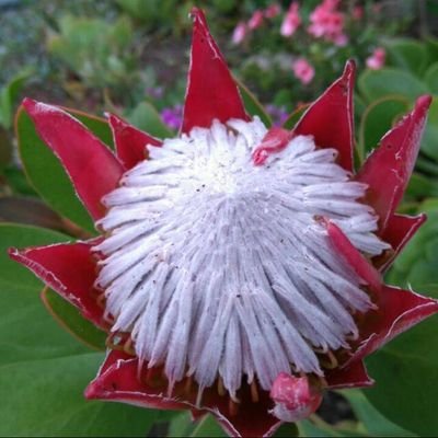 CRathome's profile picture. a