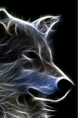 MasterWolf1207's profile picture. me encantan los video juegos :)