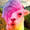 LookAtThatLlama's profile picture. Seriously, look at that llama up there! ^^^