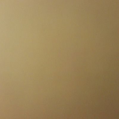 BeastieGirl77's profile picture. 