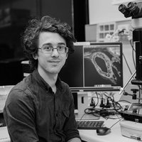 Dr Stephen (with a PhD) Mieruszynski (@drmieruszynski) 's Twitter Profile Photo