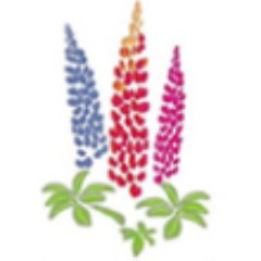 We hold the National Collection of Lupins. RHS Chelsea gold medallists. Nursery with 1000 lines of herbaceous perennials & more. Founded by @_SarahConibear