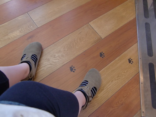 koyumatomorimo's profile picture. 