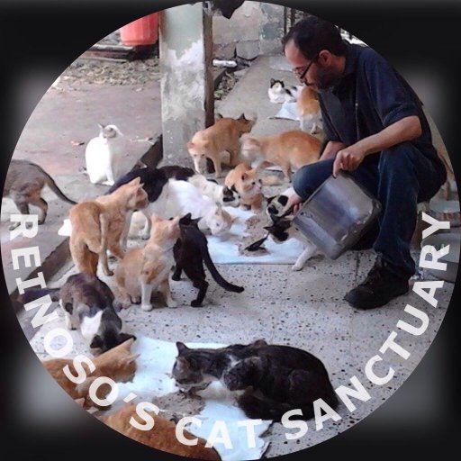 Trying to maintain a humble cat sanctuary in crisis-laden Venezuela. We rely exclusively on kind support to survive. https://t.co/bFRzgHJj9t