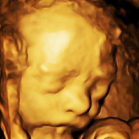 paulo1904's profile picture. 